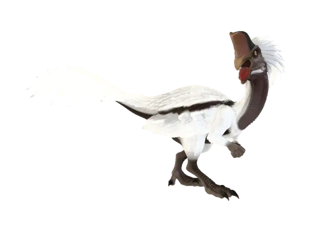 3D model for Canyon Roc