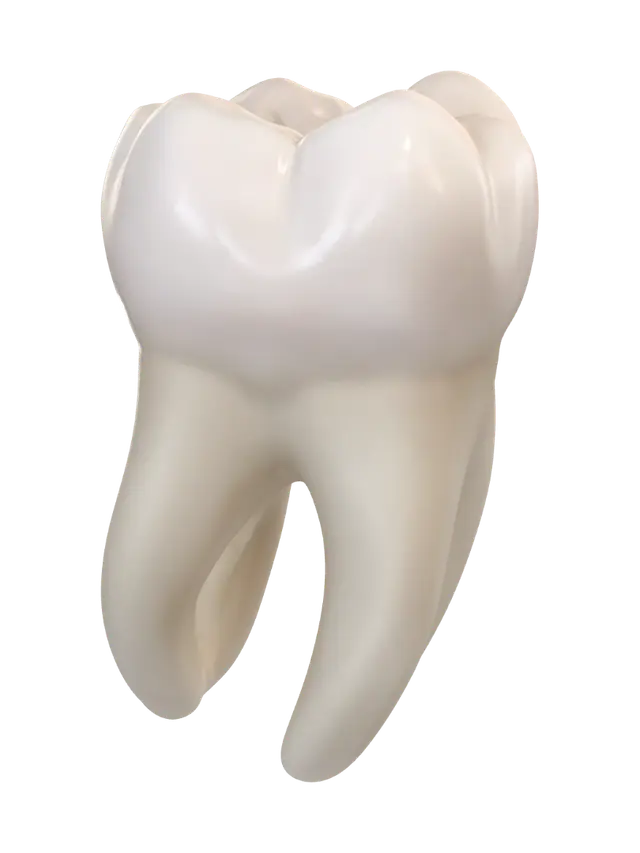 Modello 3D Lower molar - Tooth, generato dall’IA