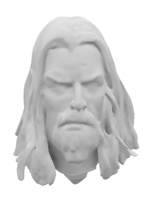 3D model for A highly detailed male barbarian warrior head long hair with a scar on his face