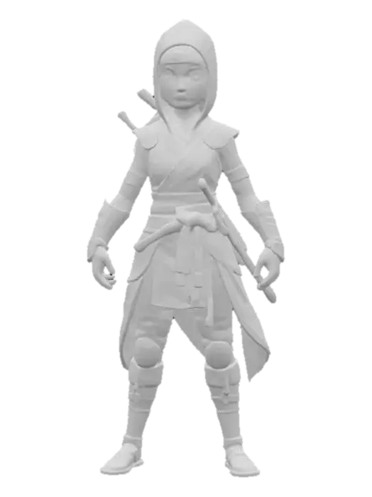 3D model for Ninja Warrior Princess