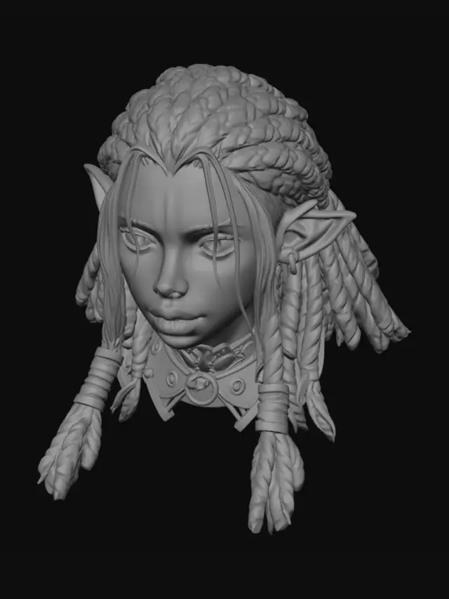 3D model for Shadowbraid Elf
