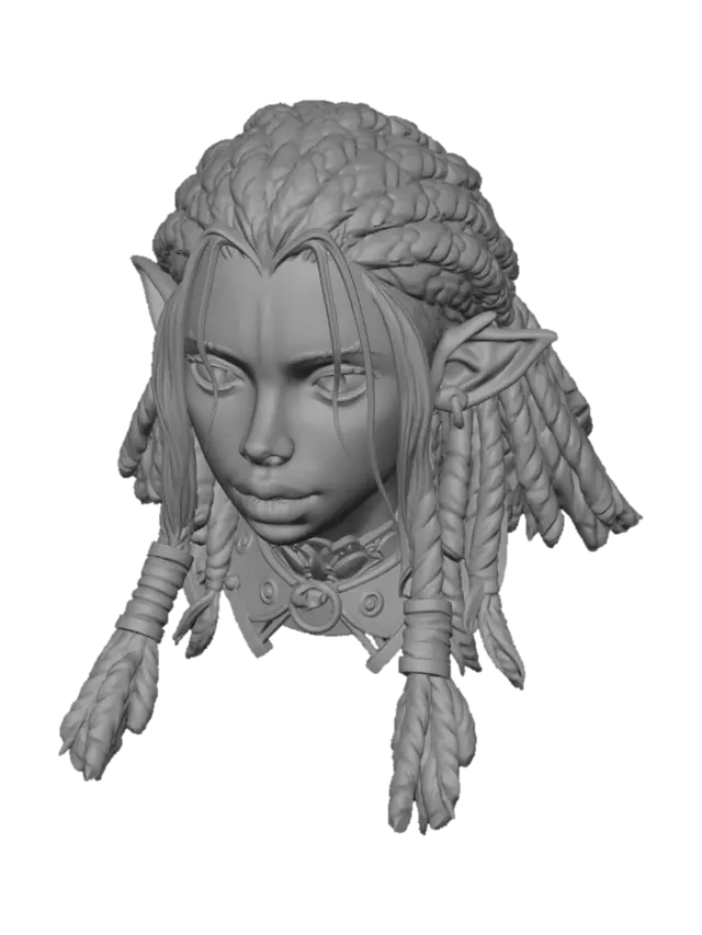 3D model for Shadowbraid Elf
