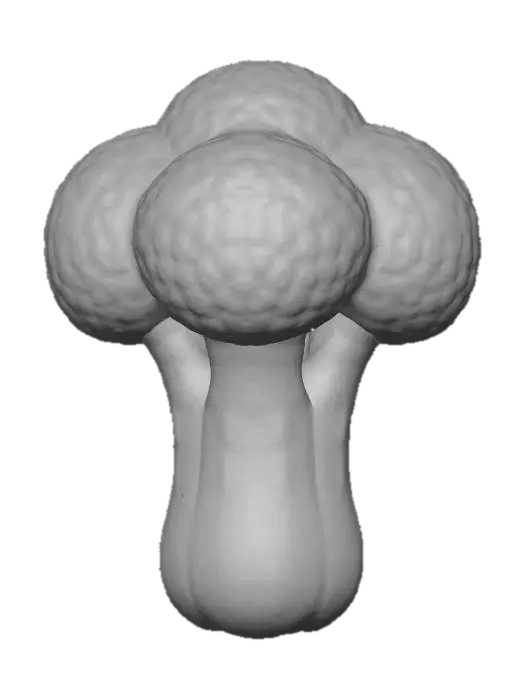 3D model for Broccoli Delight