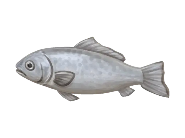 3D model for Cartoon fish
