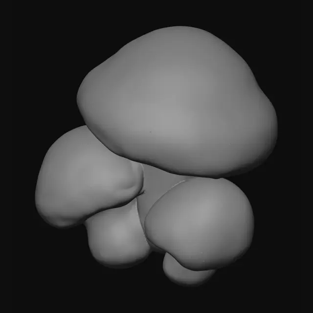 3D model for Three Brown Mushrooms