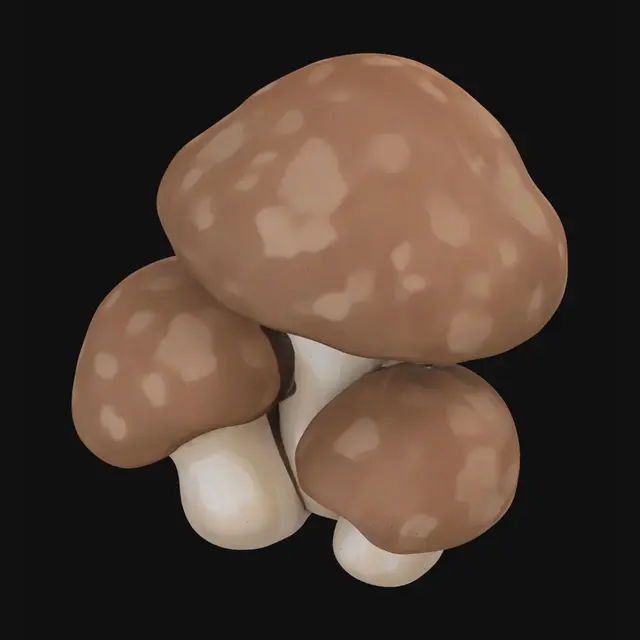 3D model for Three Brown Mushrooms
