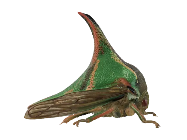 3D model for Emerald Horntail