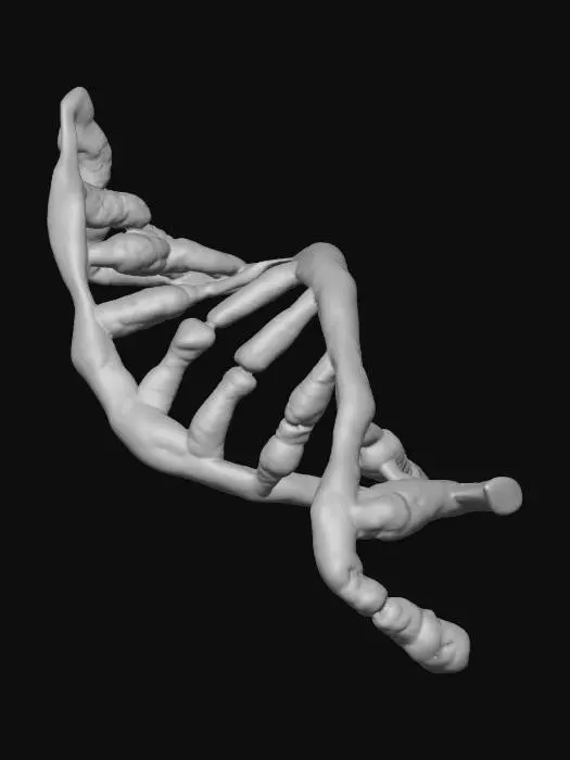 3D model for DNA Strand