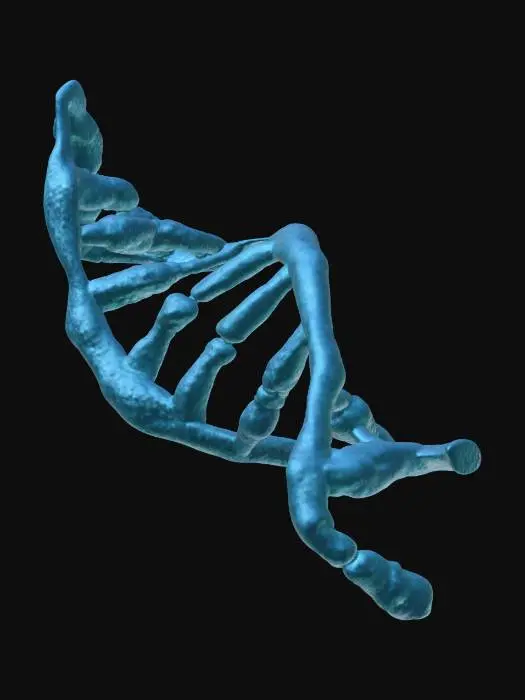 3D model for DNA Strand