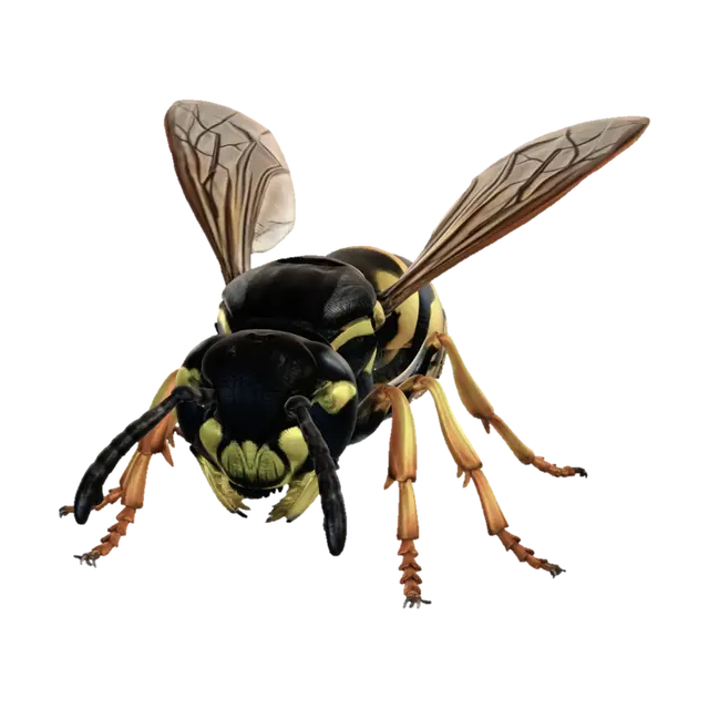 Wasp 3D model, vytvořený pomocí AI