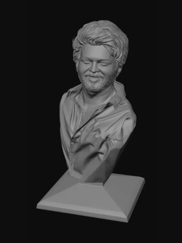 3D model for Warm Plaid Portrait