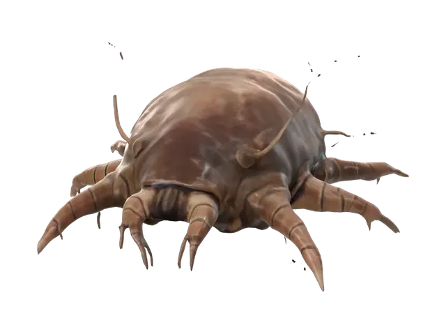 3D model for Swamp Crawler