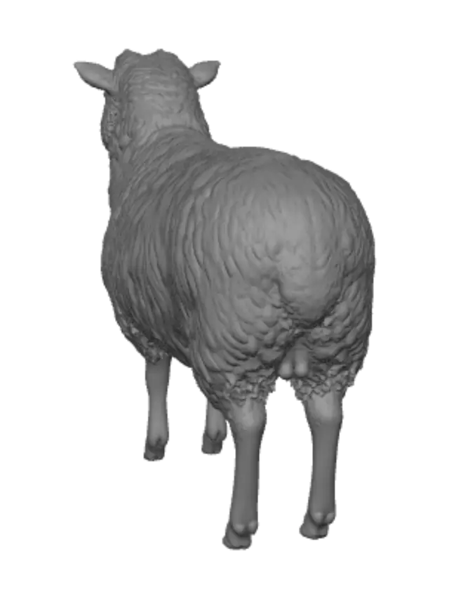 3D model for 
