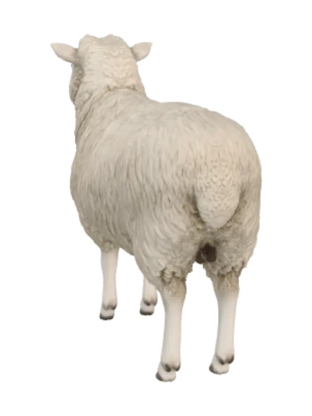 3D model for 