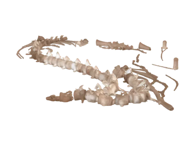 3D model for Desert Spine