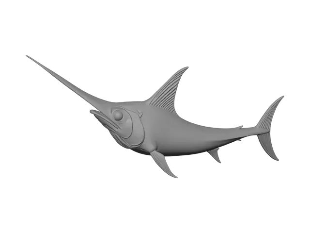 3D model for Blue Marlin