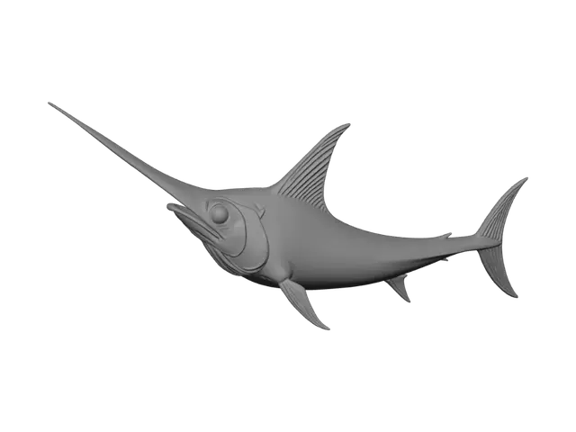 3D model for Blue Marlin