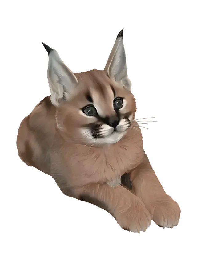 3D model for Toothy Grin Kitten