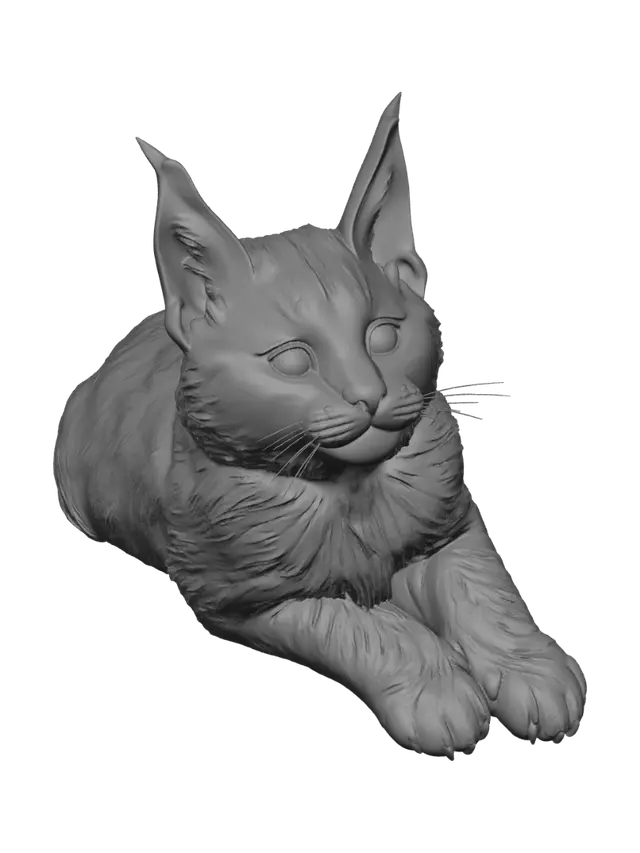 3D model for Toothy Grin Kitten