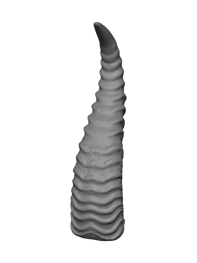 3D model for Spiral Horn