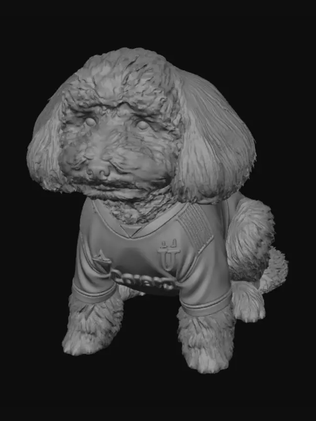 3D model for Juventus Pup at Allianz Stadium