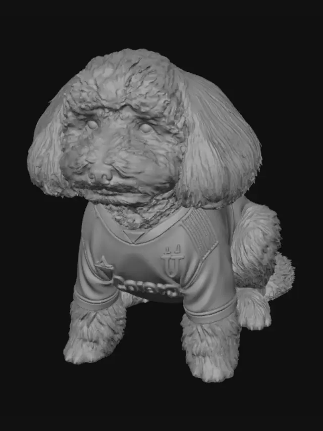3D model for Juventus Pup at Allianz Stadium