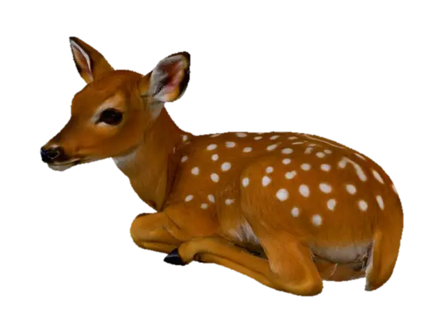 White Tailed Deer Spotted Fawn Realistic 3D model, vytvořený pomocí AI
