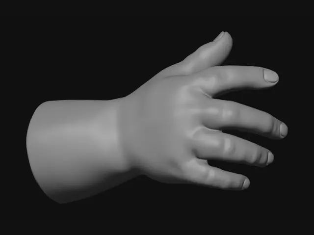 3D model for White mannequin hand