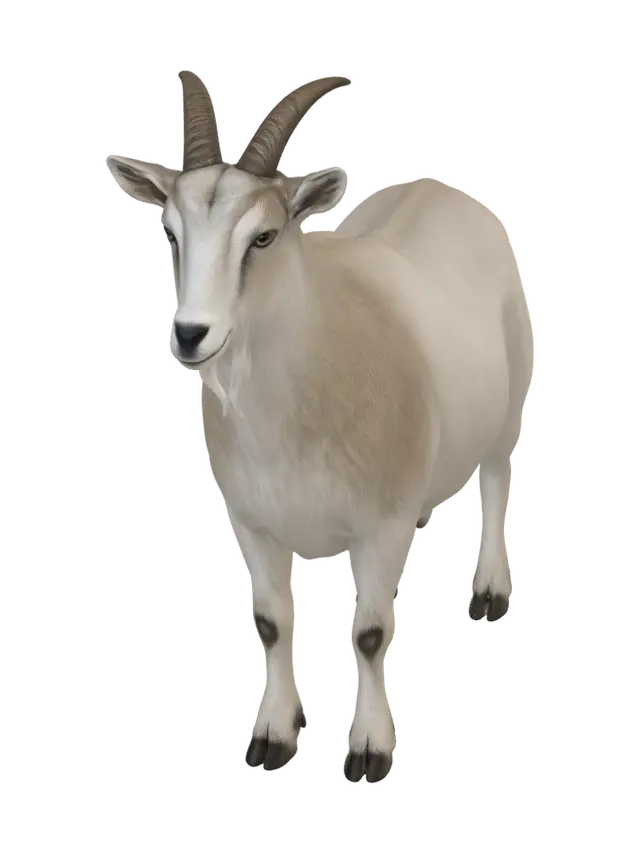 3D model for Steadfast Goat