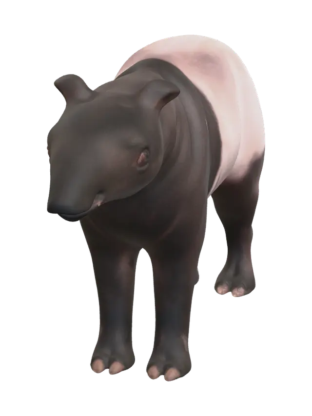 3D model for Weathered Tapir