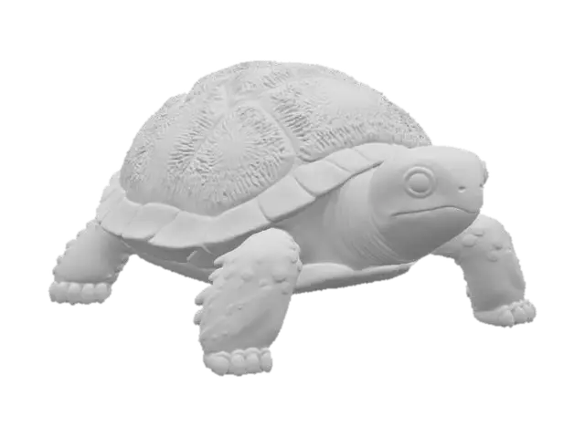3D model for Kiwi Tortoise, #food#