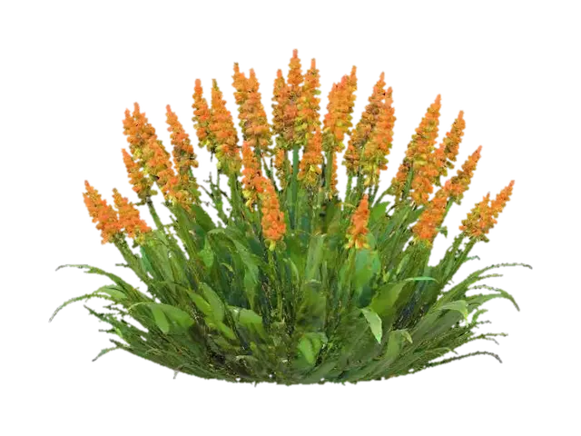 A vibrant forest shrub with upright, slender stems of a smooth, bright chartreuse… 3D model, vytvořený pomocí AI