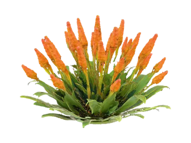 A vibrant forest shrub with upright, slender stems of a smooth, bright chartreuse… 3D model, vytvořený pomocí AI