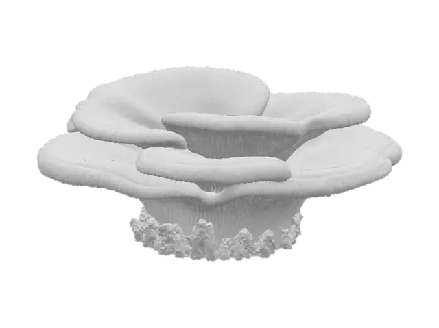3D model for A large, shelf-like bracket fungus, growing in overlapping layers from the side of a tree trunk. Its tough, woody surface is banded in concentric rings of muted grey, earthy brown, and pale cream, with a velvety texture. The underside is porous and soft. It feels exceptionally hard and dry, yet its outer edge is slightly smoother, creating a rugged, organic, and durable structure.