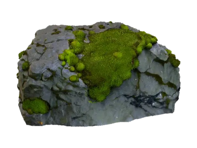 A large, irregular clump of deep forest green moss clings tightly to the side of a craggy,… - Organic 3D model, AI generated