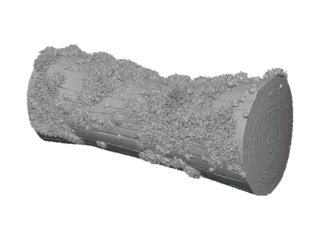 3D model for A dense, vibrant emerald green moss clump completely blankets the top surface of a fallen, decaying log. The moss conforms to the log's subtle curves, its velvety texture appearing incredibly soft and spongy. Where glimpses of the dark, porous wood peek through, it feels rough and damp. The entire clump is cool and heavily saturated, providing a lush, living cover over the ancient timber.