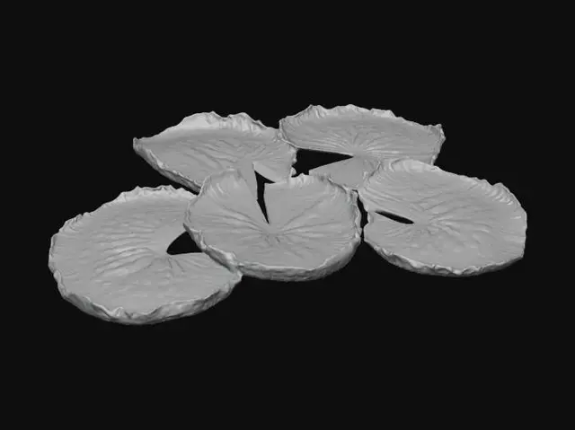 3D model for Lotus Whispers