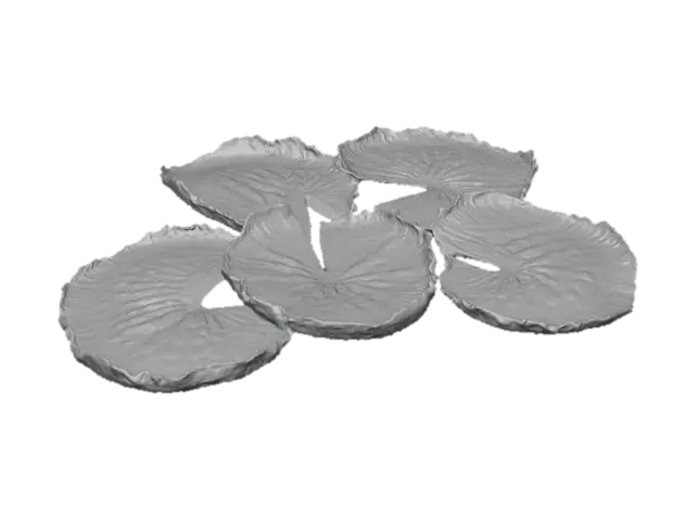 3D model for Lotus Whispers