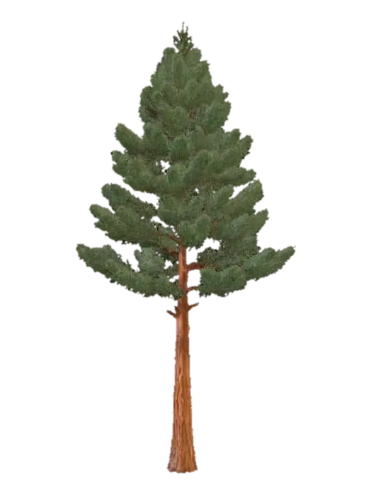 A towering pine tree, its straight, thick trunk covered in rough, reddish-brown… - Plant model 3D, wygenerowany przez AI