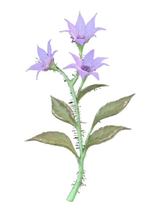 A sprawling forest shrub, its slender, arching branches covered in fine, bristly… 3D model, vytvořený pomocí AI