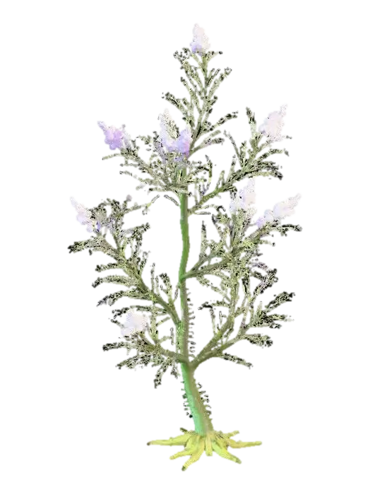 A sprawling forest shrub, its slender, arching branches covered in fine, bristly… 3D model, vytvořený pomocí AI