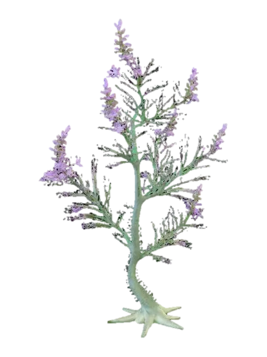 A sprawling forest shrub, its slender, arching branches covered in fine, bristly… 3D model, vytvořený pomocí AI