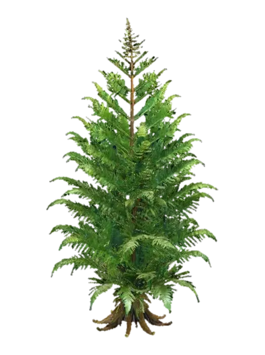A majestic forest fern, featuring broad, arching fronds of deep emerald green,… - Leaf yapay zekâ ile oluşturulmuş 3D model