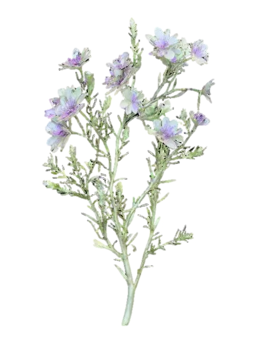 A sprawling forest bush, its slender, arching branches covered in fine, bristly… - Shrub 3D model, vytvořený pomocí AI