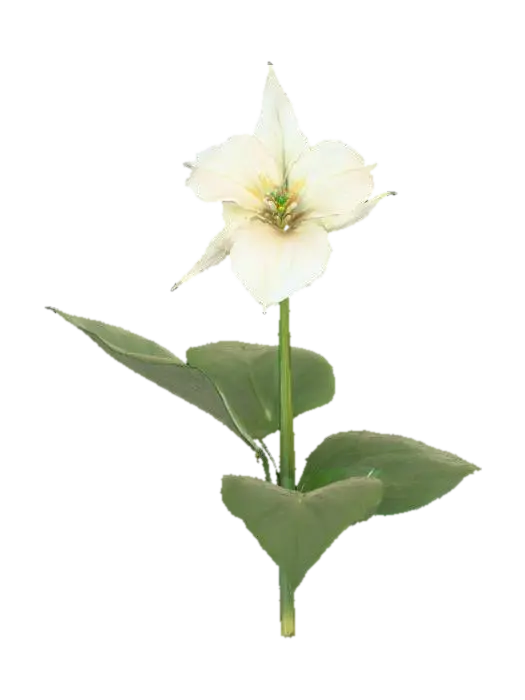 A trillium plant stands gracefully with a single, sturdy stem topped by a… - Woodland 3D model, vytvořený pomocí AI