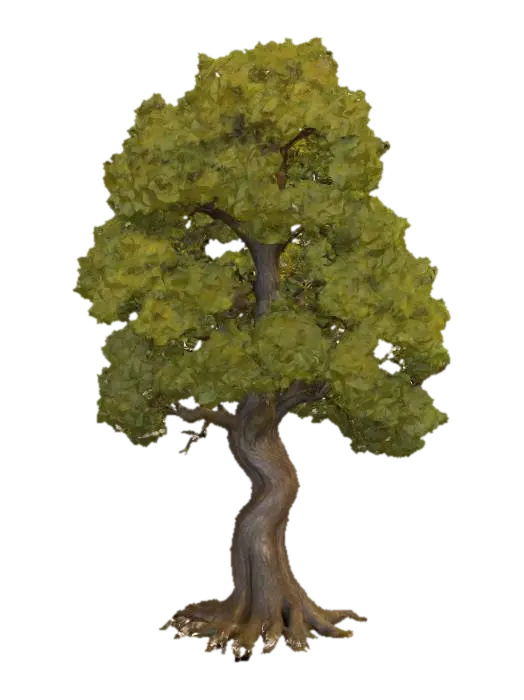 A towering ancient oak tree with a massive, gnarled trunk covered in thick, rough, dark… 3D model, vytvořený pomocí AI