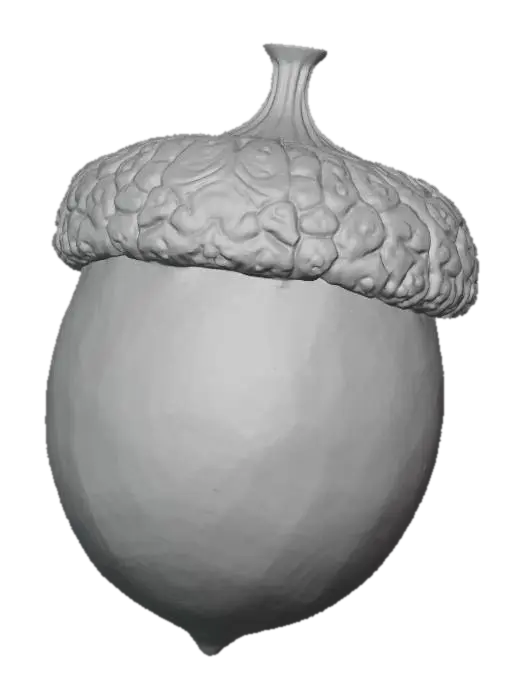 3D model for A classic acorn, plump and oval-shaped, encased in a smooth, glossy, dark reddish-brown shell that tapers to a small, pointed tip. Its rough, scaly cap, a lighter brown, snugly covers the top third, feeling dry and textured. The shell is hard and unyielding, while the cap feels brittle and slightly rough to the touch. This robust, perfectly formed seed embodies a simple, earthy charm.