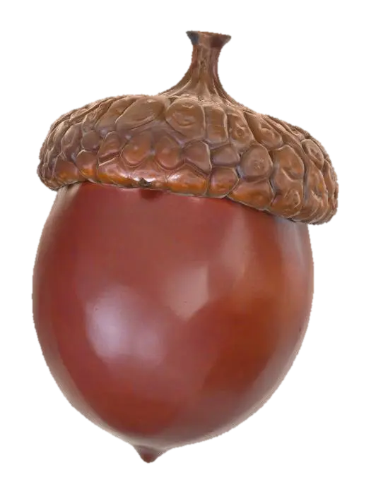 3D model for A classic acorn, plump and oval-shaped, encased in a smooth, glossy, dark reddish-brown shell that tapers to a small, pointed tip. Its rough, scaly cap, a lighter brown, snugly covers the top third, feeling dry and textured. The shell is hard and unyielding, while the cap feels brittle and slightly rough to the touch. This robust, perfectly formed seed embodies a simple, earthy charm.