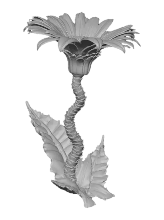 3D model for a spooky-vibe realistic wildflower, #Halloween2025#