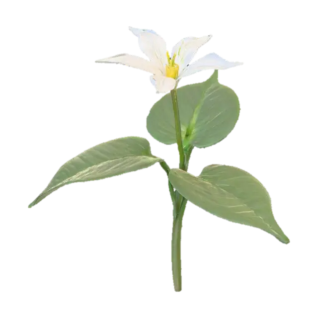 A trillium plant stands gracefully with a single, sturdy stem topped by a… - Woodland 3D model, vytvořený pomocí AI